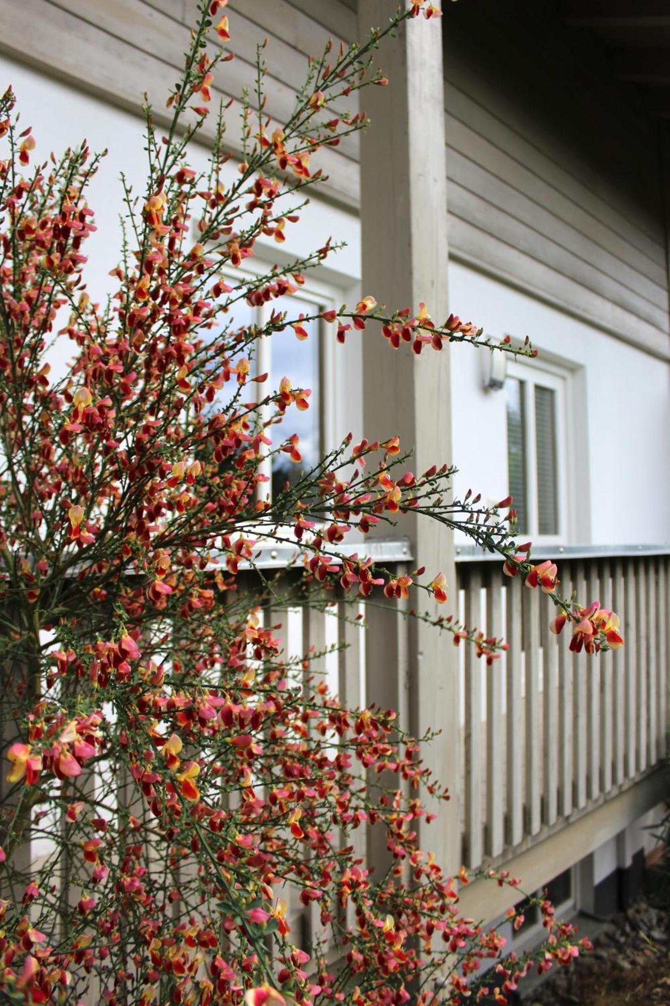Ferienwohnung Woidblick Drachselsried Luaran gambar